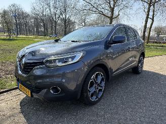 uszkodzony samochody osobowe Renault Kadjar  2017/1