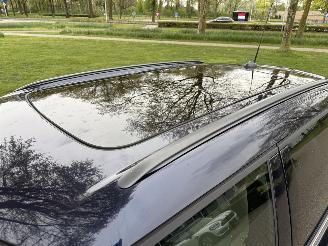 Mini Mini  picture 11