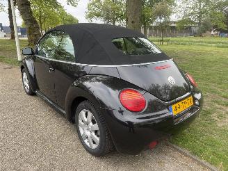 Volkswagen Beetle  picture 3