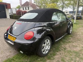 Volkswagen Beetle  picture 5