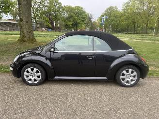 Volkswagen Beetle  picture 2