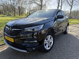 Schadeauto Opel Grandland X 2021/1