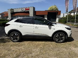 Opel Grandland X picture 6