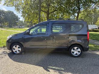 Dacia Dokker  picture 2