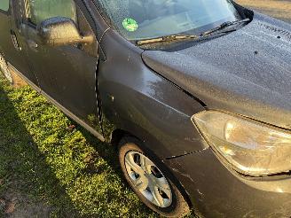 Dacia Dokker  picture 14