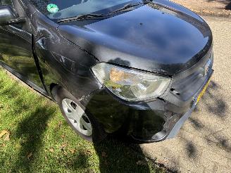Dacia Dokker  picture 16