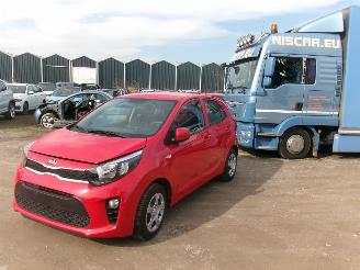 škoda osobní automobily Kia Picanto 1.0  Easy - Airco 2021/1