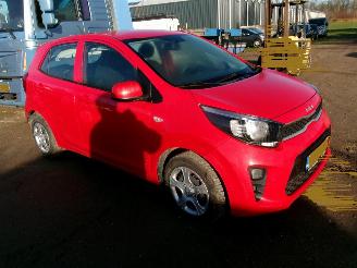 Kia Picanto 1.0 Easy - Airco picture 5