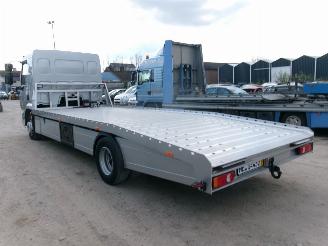 DAF LF 210 LF 210 FA - Transport Machines-Cars-Caravan picture 4