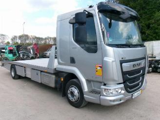 DAF LF 210 LF 210 FA - Transport Machines-Cars-Caravan picture 2
