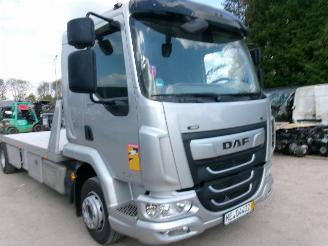 DAF LF 210 LF 210 FA - Transport Machines-Cars-Caravan picture 7