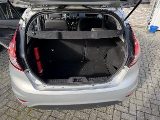 Ford Fiesta 1.0 EcoBoost Titanium bron finnik picture 33