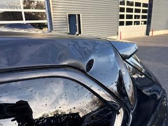 BMW iX1 225KW (306PK) haman kadon panoramadak picture 26