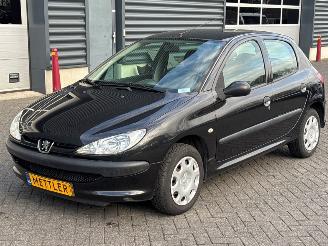  Peugeot 206 1.4 XR,XS,XT,Gentry Hatchback  Benzine 1.360cc 55kW (75pk) FWD 2007/4