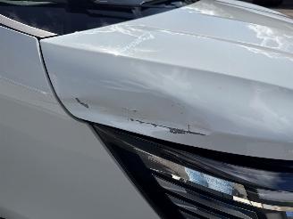 Renault Trafic 2.0 dCi 16V 130 Bestel  Diesel 1.995cc 96kW (131pk) FWD picture 27