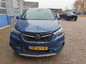 Opel Mokka X 1.6 CDTI Business+ picture 8