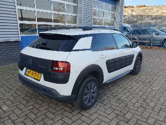 Citroën C4 cactus 1.6 BlueHDi Shine SCHADEVRIJ picture 6