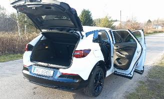 Opel Grandland 1.6 Automaat Hybrid picture 8