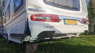 Fendt  SAPHIR 465 picture 6