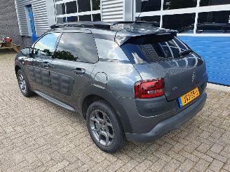 Citroën C4 cactus 1.2 PureTech W picture 3