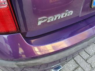 Fiat Panda 1.2 Edizione Cool picture 12
