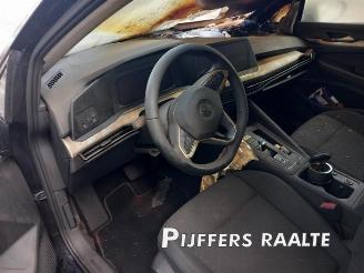 Volkswagen Golf Golf VIII (CD1), Hatchback, 2019 2.0 TDI BlueMotion 16V picture 20