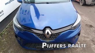 Renault Clio Clio V (RJAB), Hatchback 5-drs, 2019 1.0 SCe 65 12V picture 11