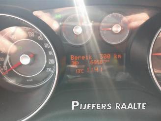 Fiat Punto Punto Evo (199), Hatchback, 2009 / 2012 1.3 JTD Multijet 85 16V Euro 5 picture 13