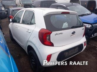 Sloopauto Kia Picanto Picanto (JA), Hatchback, 2017 1.0 12V 2018/7