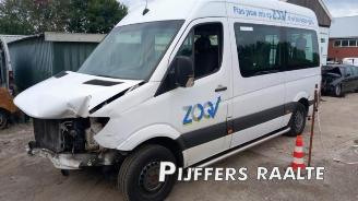 Purkuautot passenger cars Mercedes Sprinter Sprinter 3,5t (906.73), Bus, 2006 / 2020 316 NGT 2016/8