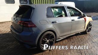 Sloopauto Volkswagen Golf Golf VII (AUA), Hatchback, 2012 / 2021 2.0 GTI TCR 16V 2019/6