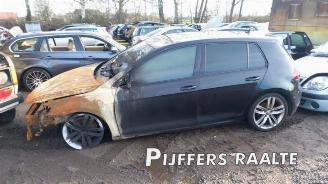  Volkswagen Golf Golf VII (AUA), Hatchback, 2012 / 2021 1.5 TSI Evo BlueMotion 16V 2018/1