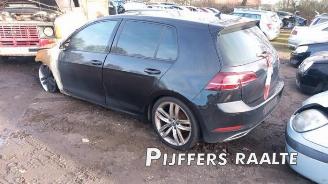 Volkswagen Golf Golf VII (AUA), Hatchback, 2012 / 2021 1.5 TSI Evo BlueMotion 16V picture 2