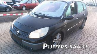 Renault Grand-scenic Grand Scenic II (JM), MPV, 2004 / 2009 2.0 16V picture 5
