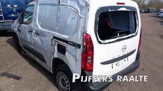 Opel Combo Combo Cargo, Van, 2018 1.5 CDTI 100 picture 9