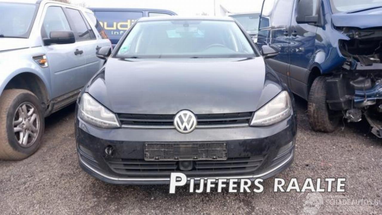 Volkswagen Golf Golf VII (AUA), Hatchback, 2012 / 2021 1.6 TDI 16V