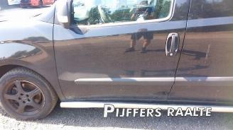 Fiat Doblo Doblo Cargo (263), Van, 2010 1.6 D Multijet picture 8
