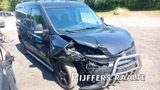 Fiat Doblo Doblo Cargo (263), Van, 2010 1.6 D Multijet picture 6