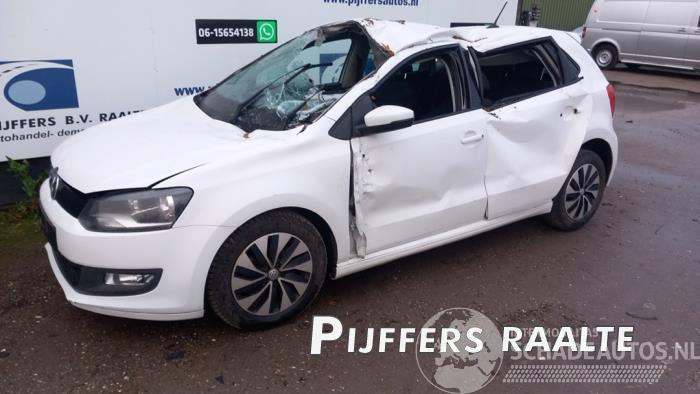 Volkswagen Polo Polo V (6R), Hatchback, 2009 / 2017 1.0 TSI 12V BlueMotion