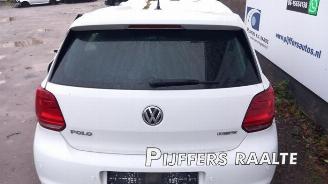Volkswagen Polo Polo V (6R), Hatchback, 2009 / 2017 1.0 TSI 12V BlueMotion picture 12