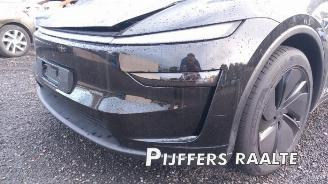Tesla Model Y Model Y, SUV, 2025 RWD 58 kWh, Long Range RWD 75 kWh picture 25