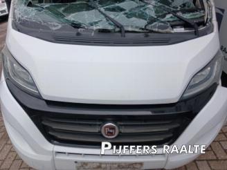 Fiat Ducato Ducato (250), Van, 2006 2.3 D 130 Multijet picture 5