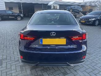 Lexus IS 300h Edition picture 4