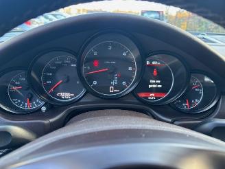 Porsche Panamera 3.0D Platinum Edition picture 23