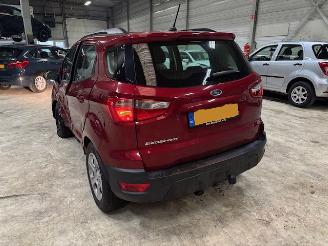 Ford EcoSport 1.0 EcoBoost Ultimate (km 54.810 NAP ) picture 18