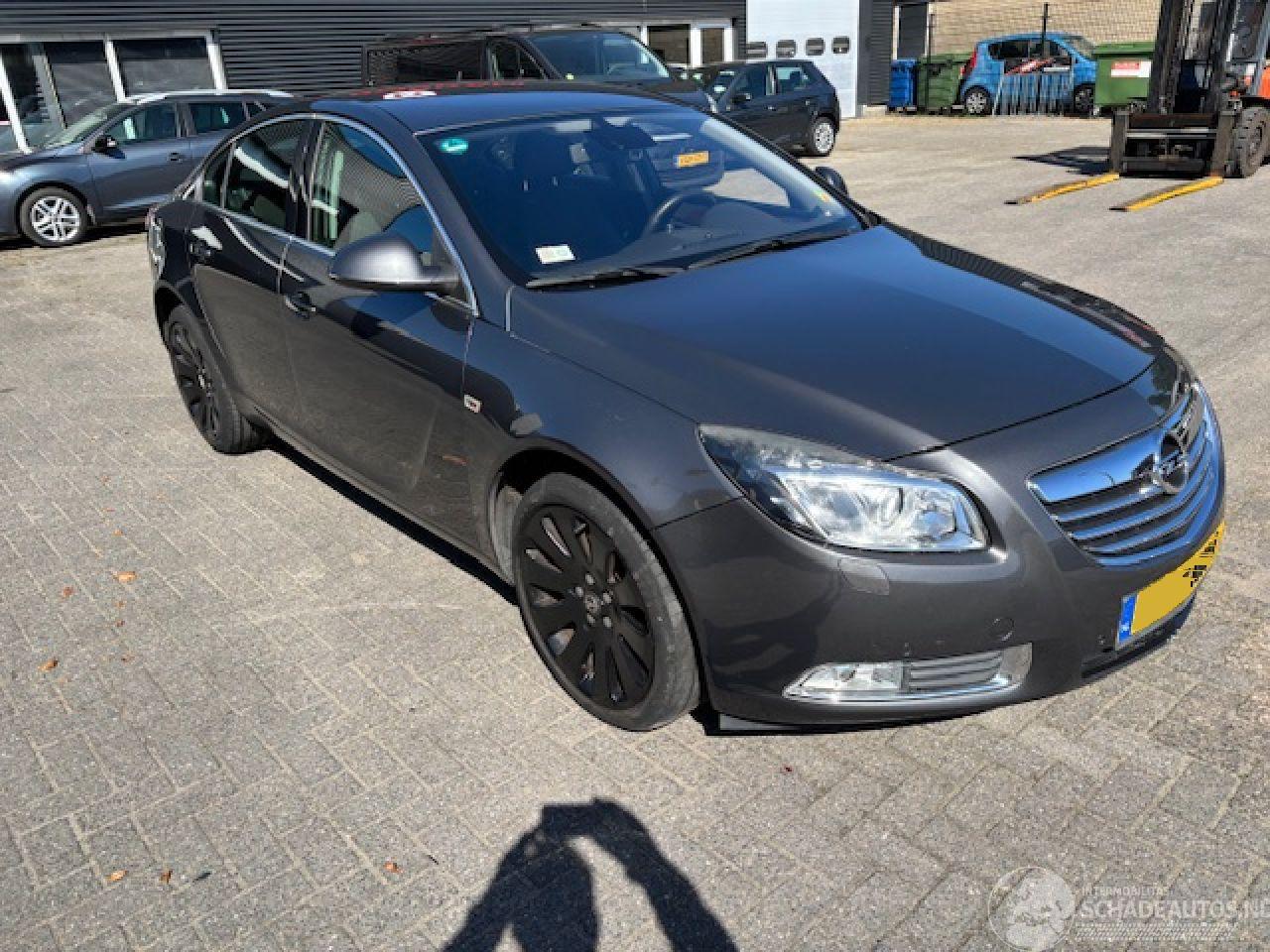 Opel Insignia 2.0 T Ecexutive  automaat 220pk NAP