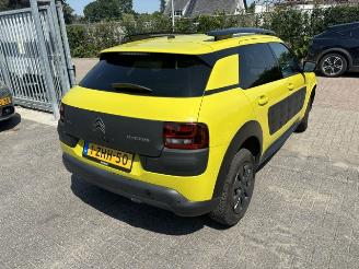 Citroën C4 cactus 1.2 VTI Shine Nap picture 8