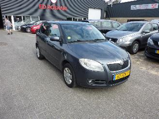 Skoda Fabia 1.6-16V AUTOMAAT CLIMAT 2009/10