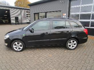 Skoda Fabia Combi 1.2 TDI Greenline picture 2