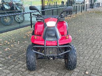 Quads  Eton Yukon 150cc Utility picture 8